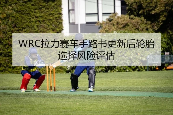 WRC拉力赛车手路书更新后轮胎选择风险评估
